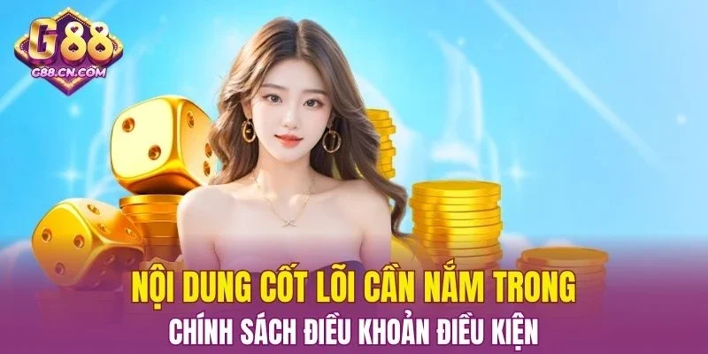 Nội dung cốt lõi cần nắm trong chính sách Điều Khoản Điều Kiện