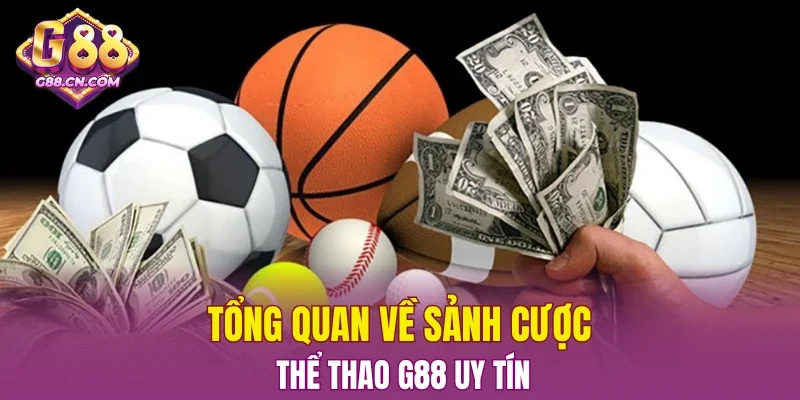 Tổng quan về sảnh cược thể thao G88 uy tín